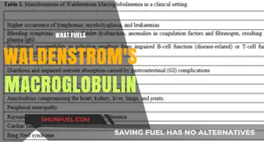 Unraveling the Causes Behind Waldenstrom's Macroglobulinemia: Key Factors Explained