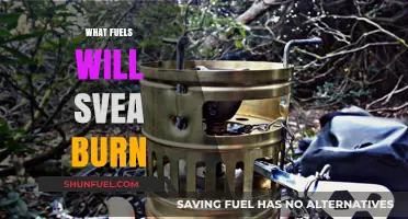 Exploring Svea's Fuel Options: What Will Power This Innovative Engine?