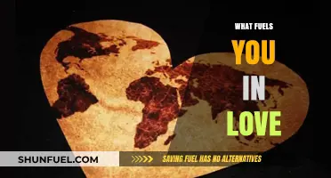 What Fuels You in Love: Passion, Connection, and Purpose Explored