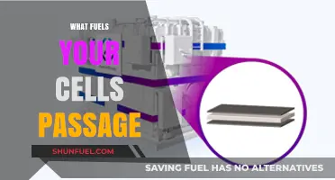 Unleashing Cellular Energy: The Vital Fuel Powering Your Cells' Journey