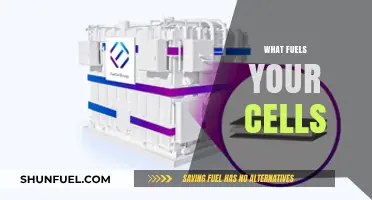 Unleashing Cellular Energy: The Vital Fuel Powering Your Body's Cells