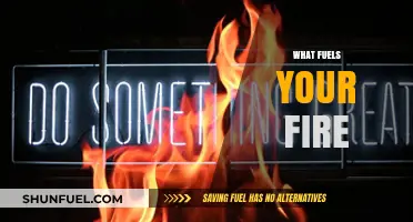 Discovering the Inner Spark: What Ignites Your Passion and Purpose