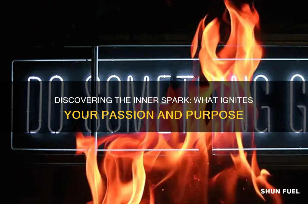 what fuels your fire