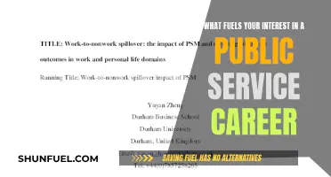 Public Service: My Career, My Passion, My Interest