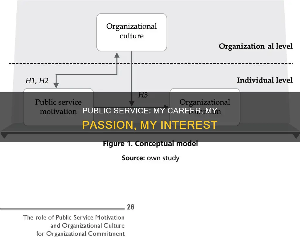what fuels your interest in a public service career