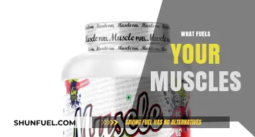 Unlocking Muscle Power: The Essential Fuels Driving Strength and Endurance
