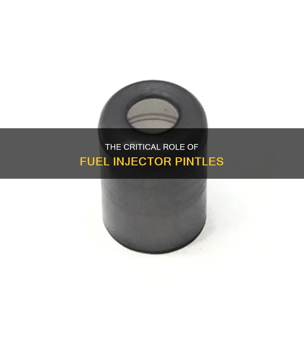 what function does the pintle of a fuel injector perform