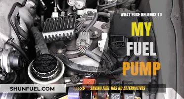 Choosing the Right Fuse for Your Fuel Pump: A Comprehensive Guide