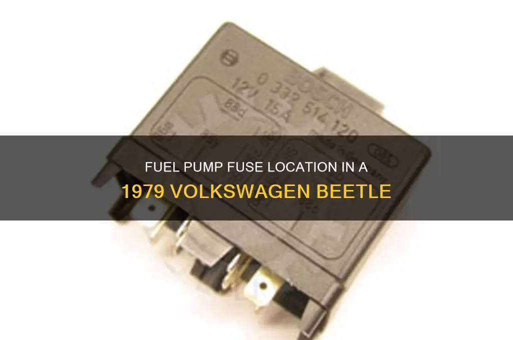 what fuse controls fuel pump in 79 beetle
