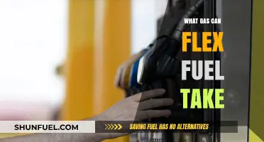 Flex Fuel Compatibility: Understanding Gasoline Options for Your Vehicle