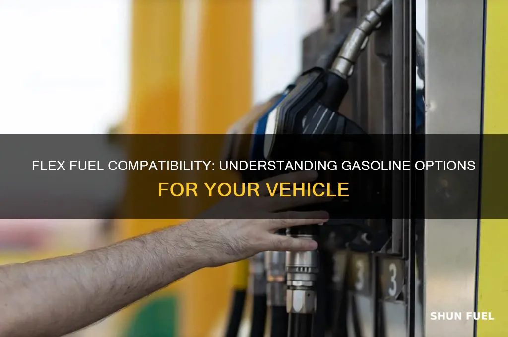 what gas can flex fuel take