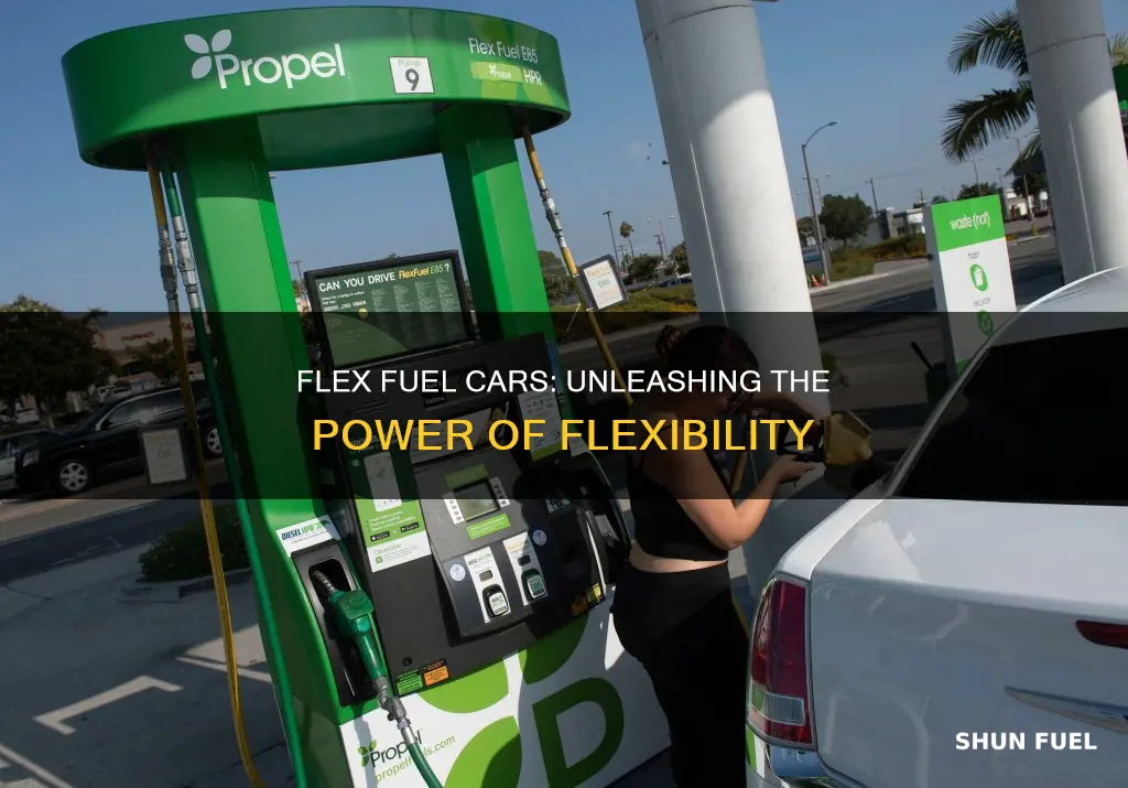 what gas can i use in a flex fuel car