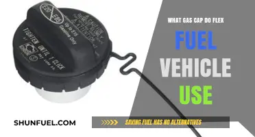 Flex Fuel Vehicles: Understanding the Right Gas Cap for Your Car