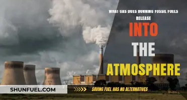 Burning Fossil Fuels: Unveiling the Harmful Gas Emissions Impacting Our Atmosphere