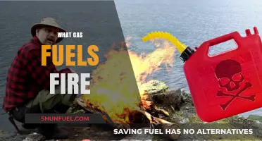 Understanding Fire's Fuel: Exploring the Gas That Ignites Flames