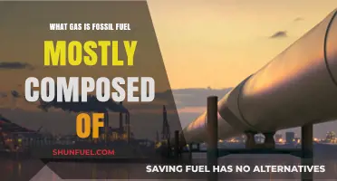 Fossil Fuel Composition: Unveiling the Dominant Gas Component Explained