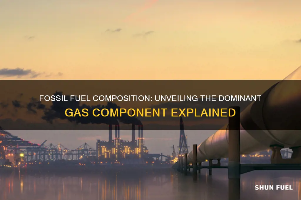 what gas is fossil fuel mostly composed of