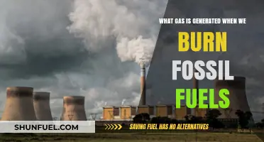 Burning Fossil Fuels: Unveiling the Gaseous Emissions and Environmental Impact