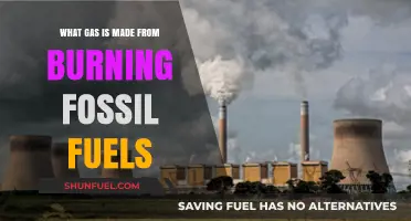 Burning Fossil Fuels: Unveiling the Gaseous Emissions and Environmental Impact