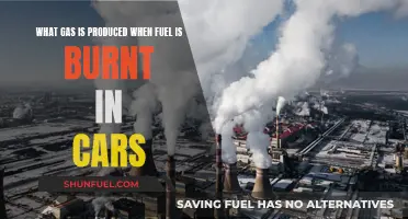 Cars' Fuel Combustion: What Gas Is Produced?