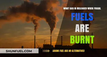 Burning Fossil Fuels: Unveiling the Released Greenhouse Gas