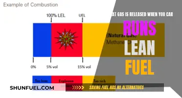 Lean Fuel: What Gas Does Your Car Emit?