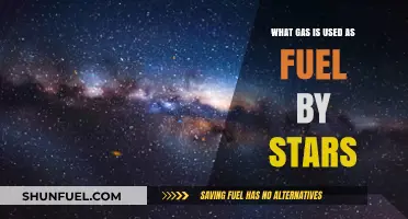 The Cosmic Fuel: Unveiling the Gas Powering Stars' Energy