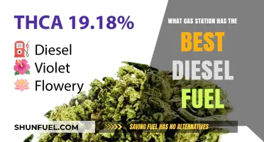 Diesel Fuel Quality: Top Gas Stations for Diesel