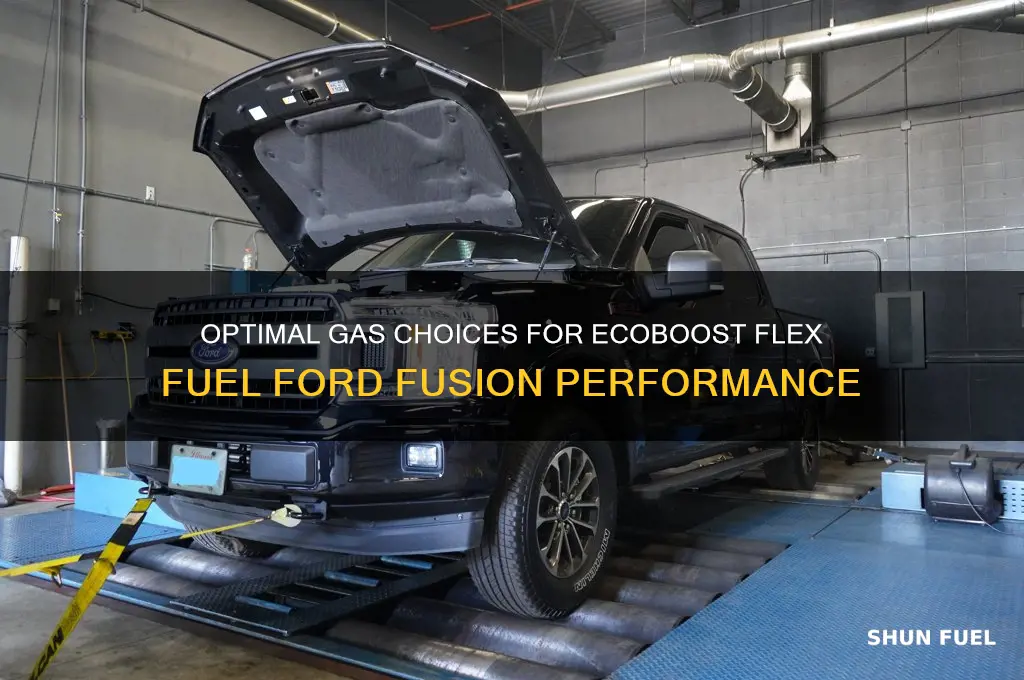 what gas to use in ecoboost flex fuel fusion
