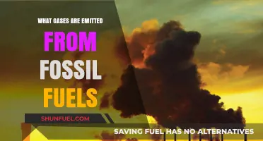 Fossil Fuels' Emissions: Unveiling the Harmful Gases Released into Our Atmosphere