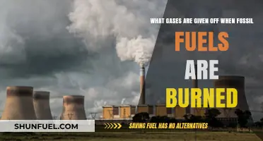 Burning Fossil Fuels: Unveiling the Harmful Gases Released into the Air