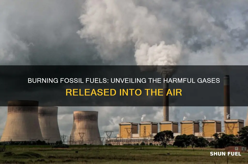 what gases are given off when fossil fuels are burned