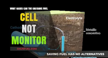 Gases Beyond Galvanic Fuel Cell Monitoring Capabilities Explained