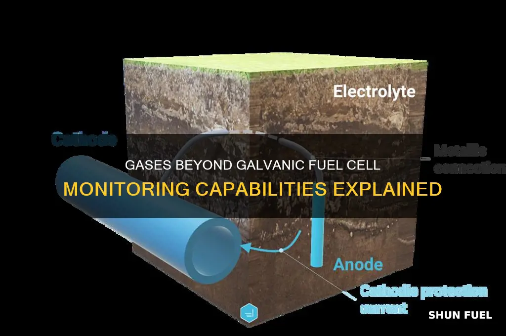 what gases can the galvanic fuel cell not monitor