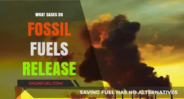 Fossil Fuels' Emissions: Unveiling the Gases Released and Their Impact