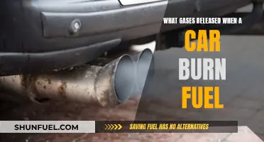 Car Fuel Combustion: Understanding the Released Gases