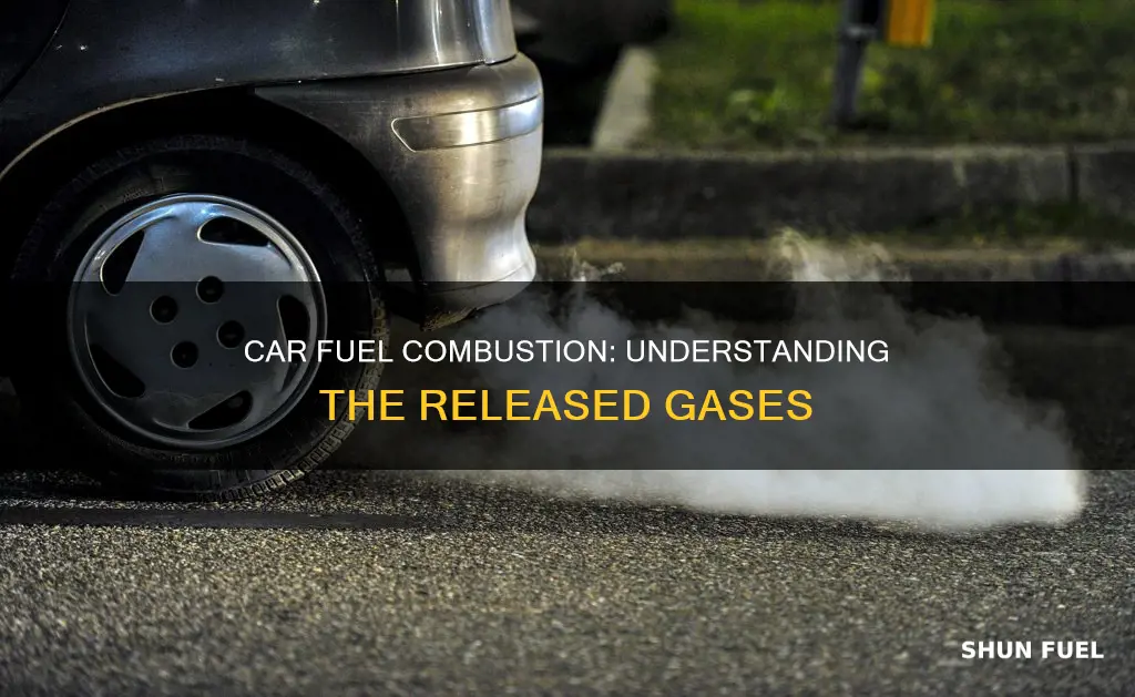 what gases released when a car burn fuel