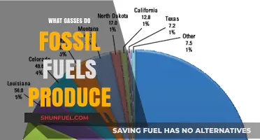 Fossil Fuels' Emissions: Unveiling the Gases Behind Climate Change