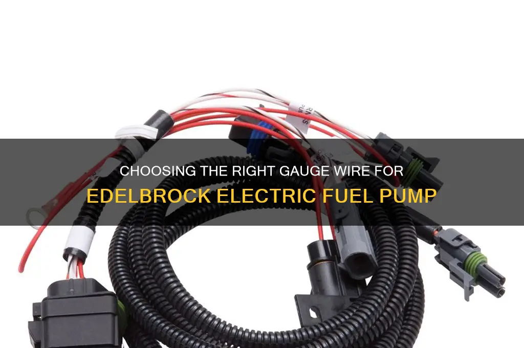 what gauge wire for edelbrock electric fuel pump