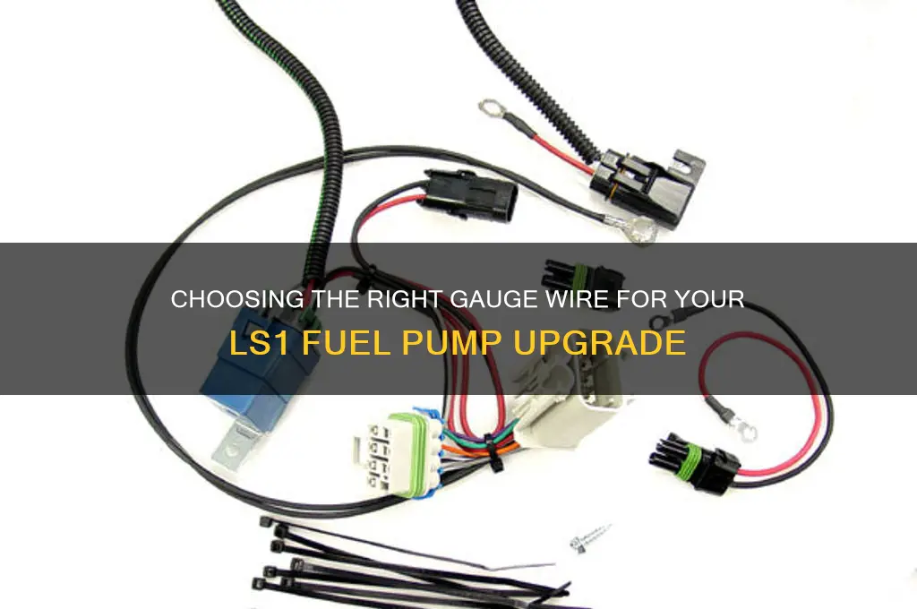 what gauge wire for ls1 fuel pump