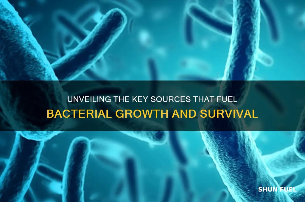 what generates fuel for bacteria