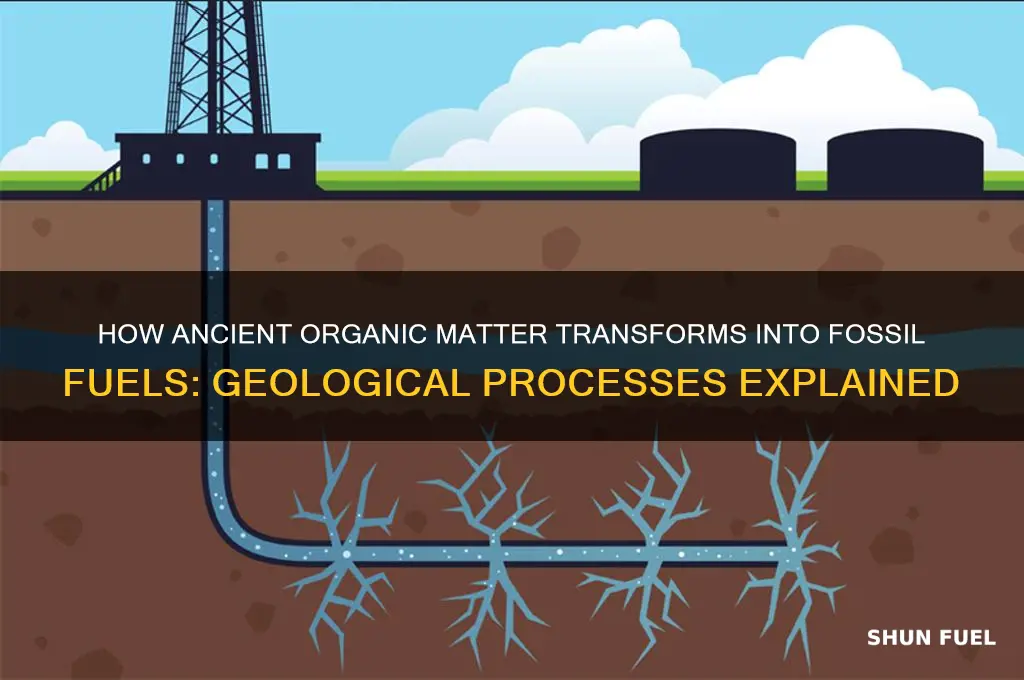 what geological processes form fossil fuels
