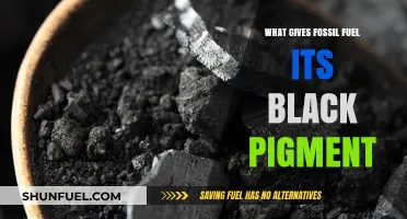 Why Fossil Fuels Are Black: Unveiling the Pigment Mystery