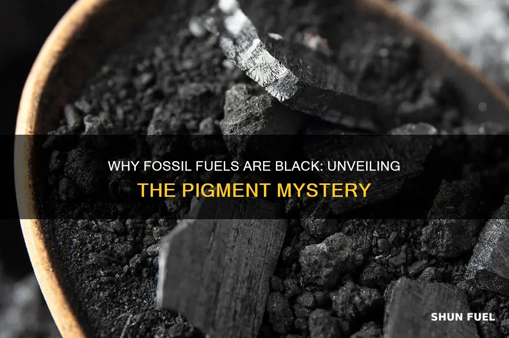 what gives fossil fuel its black pigment