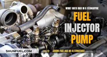 Fuel Injector Pump: Stanadyne's Common Issues and Fixes