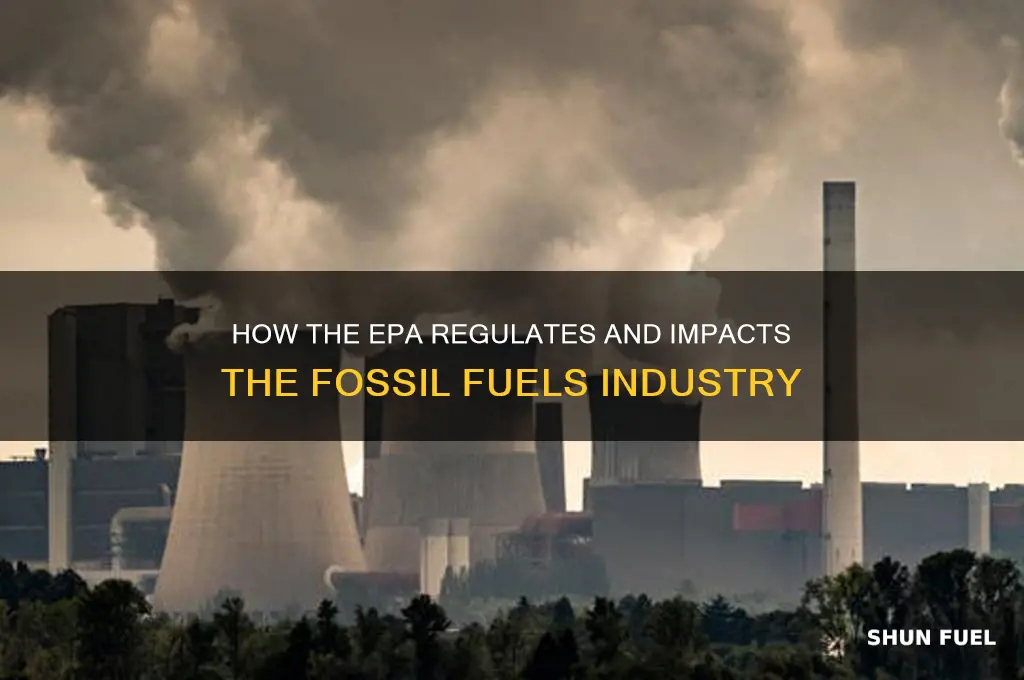 what government agency affects the fossil fuels industry