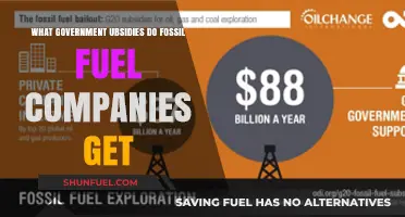 Unveiling Hidden Profits: Government Subsidies Fueling Fossil Fuel Giants
