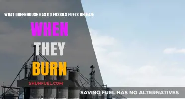 Fossil Fuels and Climate Change: Unveiling the Greenhouse Gas Emissions