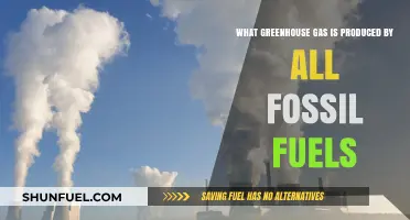Fossil Fuels' Common Greenhouse Gas: Unveiling the Universal Emission