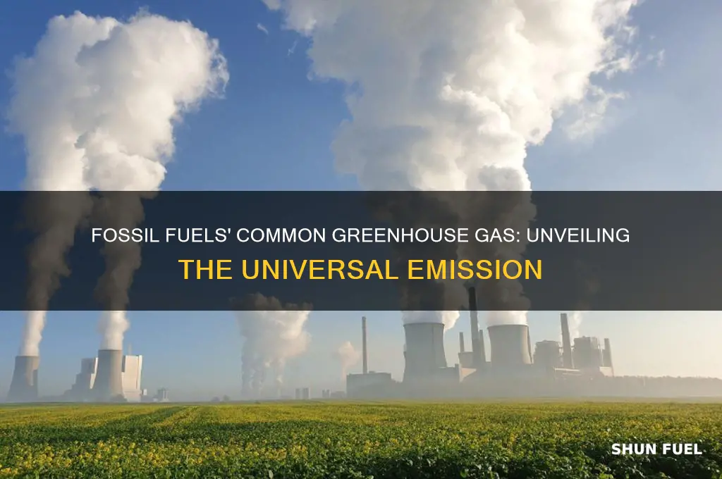 what greenhouse gas is produced by all fossil fuels